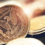 rare one dollar coin